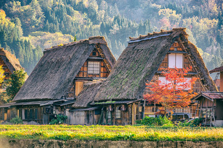 thatched roof.jpg