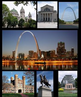 800px-St._Louis_wiki_montage.jpg