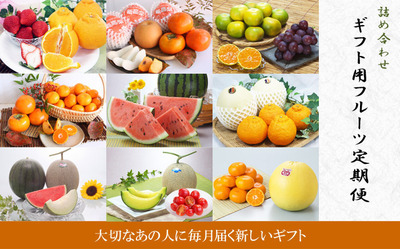 teikibin_fruits_34.jpg