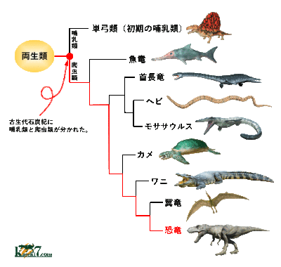 dinosaur_evolution-3.gif