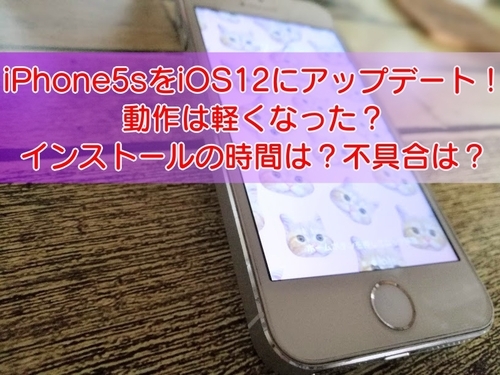 iphone5s_ios12.jpg