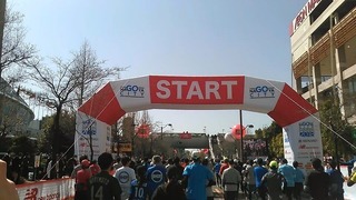 start3.jpg