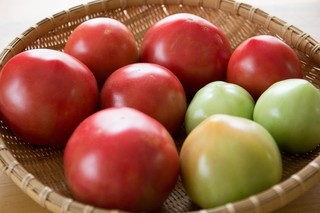 ELFA_tomatoIMG_2835_TP_V1.jpg