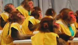 お猿の学校.jpg