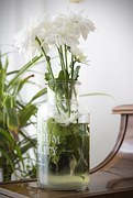 flowers-1246051__180.jpg