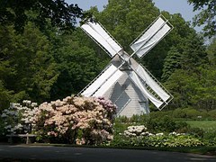 windmill-102239__180.jpg