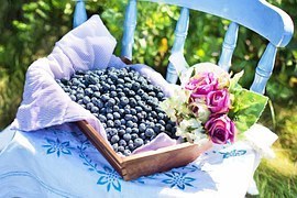 blueberries-870514__180.jpg