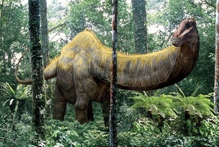 Apatosaurus.jpg