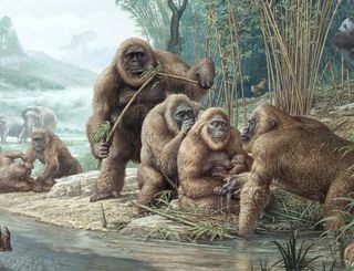 Gigantopithecus.jpg