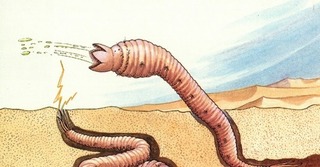 Mongolian Death Worm.JPG