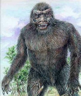 Yowie.jpg