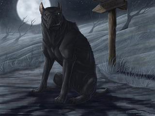 black dog.jpg