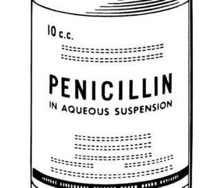 penicillin.jpg