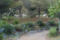 park04.jpg