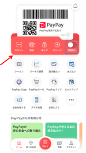 paypay XL.png