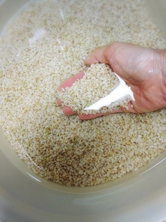 brown rice in water.jpg