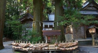 高千穂神社 夫婦杉.jpg