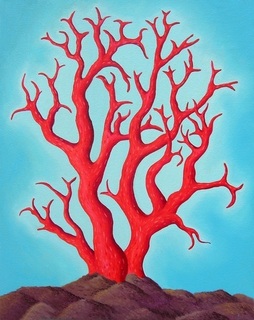 red coral.jpg