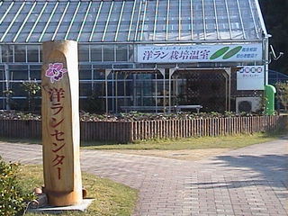 takataya (15).JPG