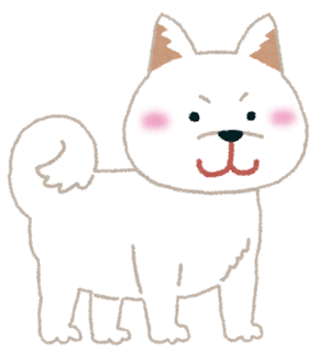 shibainu_white.png