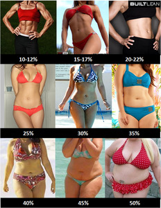 body-fat-percentage-women.jpg