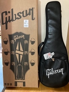 Gibson (2).jpg