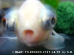 20170429_shinko.jpg