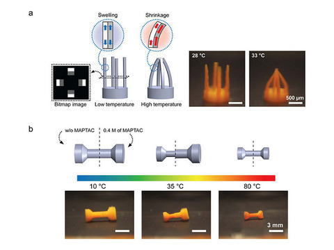 4d-print-shape-shifting-3.jpg