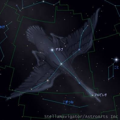 宇宙星空図鑑: 第5回 はくちょう座（白鳥座）