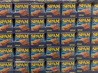 SPAM.jpg