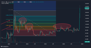 xrp2024N[Y|Cg.png