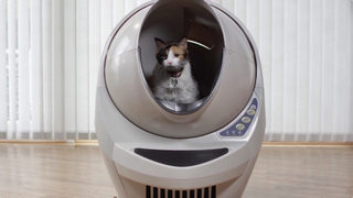 LitterRobot-02-960x541.jpg