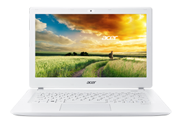 acer.png