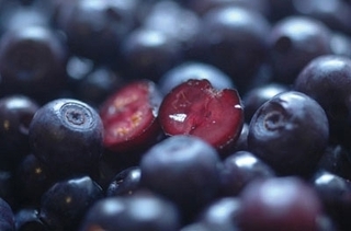 anthocyanin0.jpg