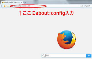 firefox1.jpg