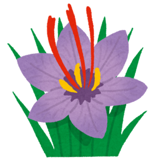 flower_saffron_safuran.png