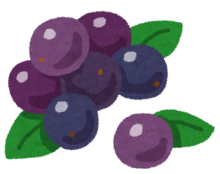 fruit_acai.png