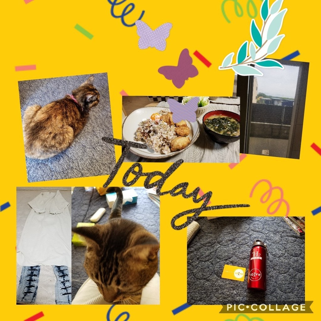 Collage 2019-09-0119_49_52.jpg