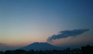 shark sakurajima 20150526 1432584229813.jpg