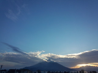 whale sakurajima 1_20141031_065923.jpg