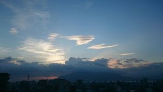 white angel fish sakurajima 20150812 1439342055235.jpg