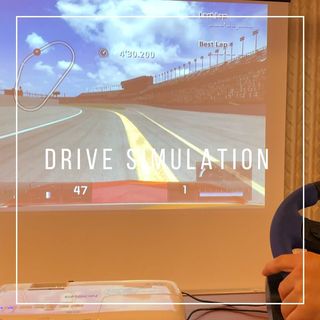 drive simulation (1).jpg