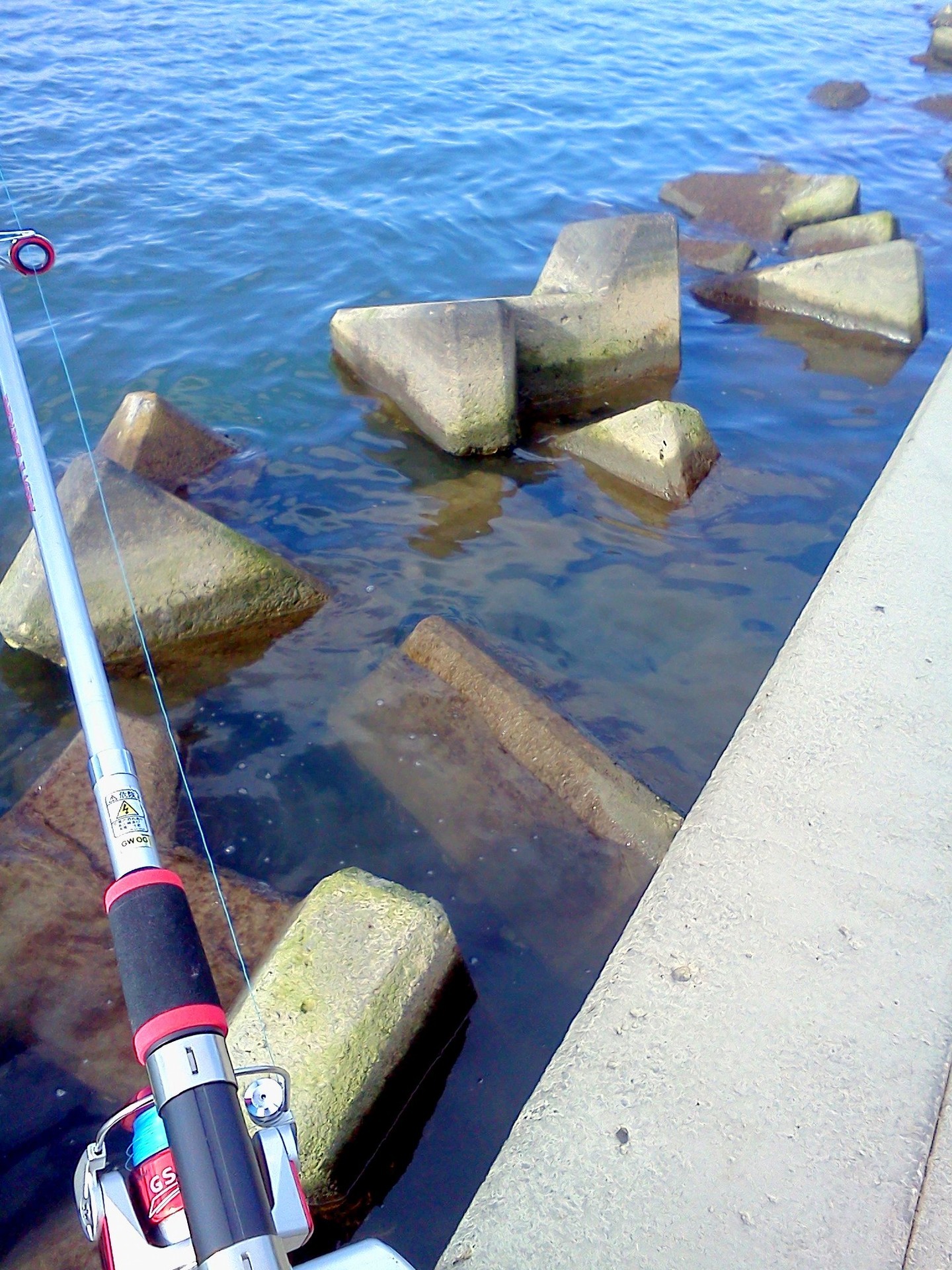 かめすけの釣行: 桜道公園への釣行、釣果ゼロ