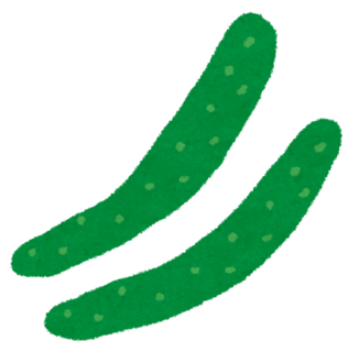 kyuuri_cucumber.png