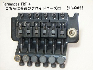 fernandes frt4b.jpg