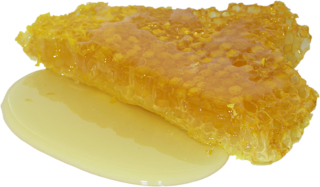 honey-2201210_640.png