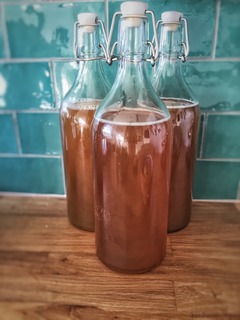 kombucha-1074594_1920.jpg