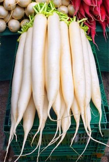 radish-3151347_1280.jpg