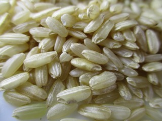 rice-2351272_1920.jpg