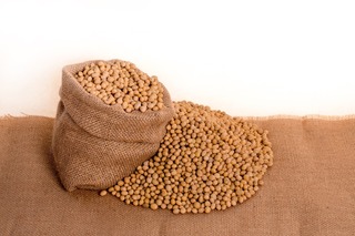 soybeans-2039637_1920.jpg